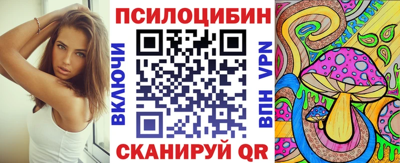 Галлюциногенные грибы Psilocybine cubensis  Струнино 